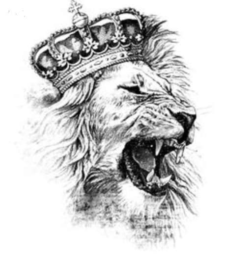 WhyG star porn gallery