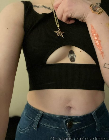 Harlihero art star photo