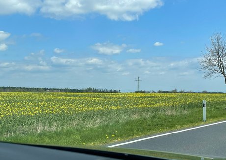 quin night afterdark star pictures