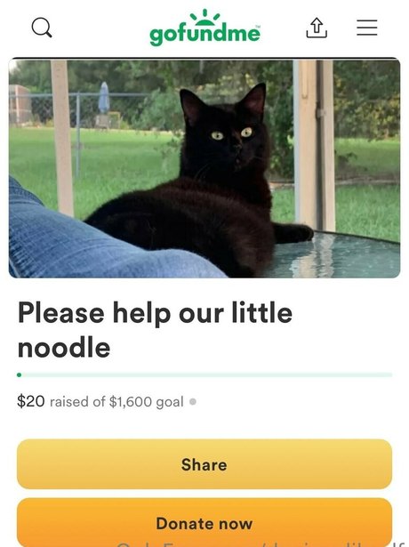 deviouslilwolf sex actress gallery