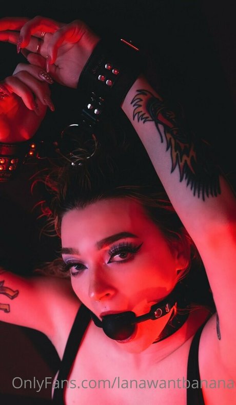 femboy lane pornstar nude archive