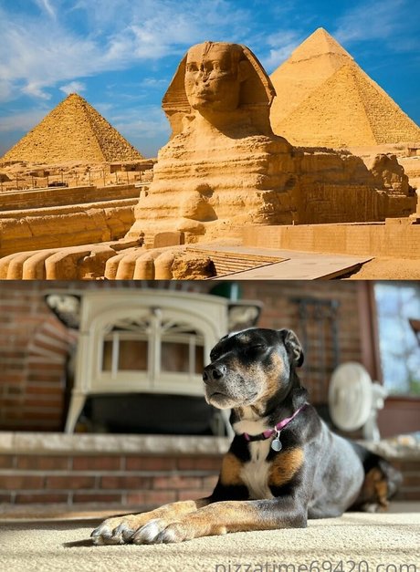 gutfuzz pornstar high quality gallery