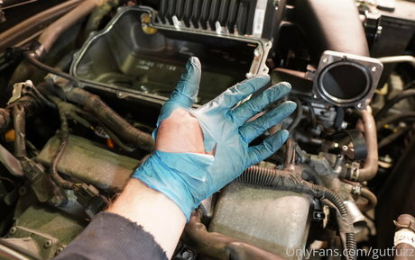 gutfuzz art star img