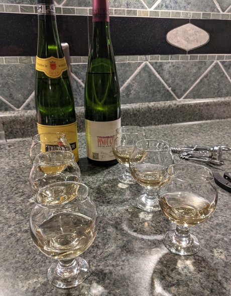 gutfuzz beautiful star archive