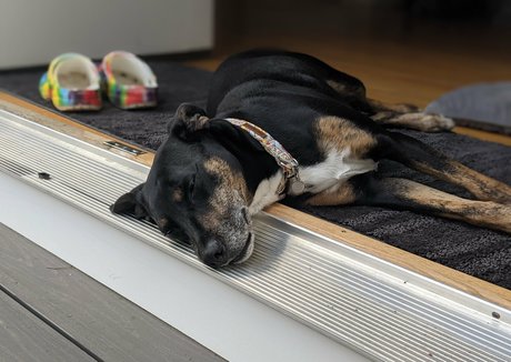 gutfuzz high quality pornstar picture