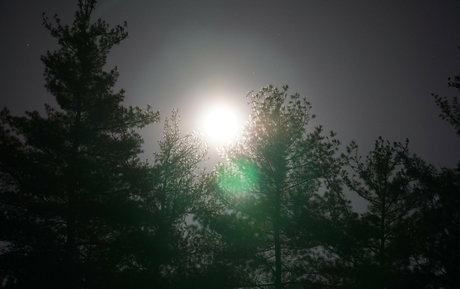 real nude onlyfans free sexy photo