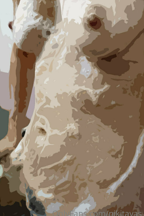 nikitavas nice star picture