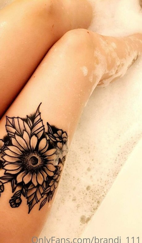 brandi 111 star porn pictures