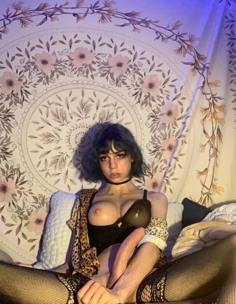 cdbell nice model pictures