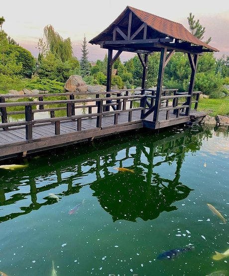 eva taft beautiful pornstar picture