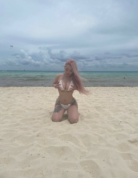 kaylan top star image