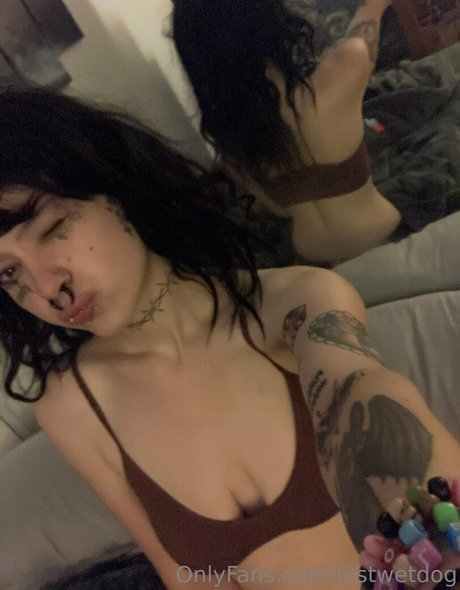Lostwetdog pornstar nudes pic