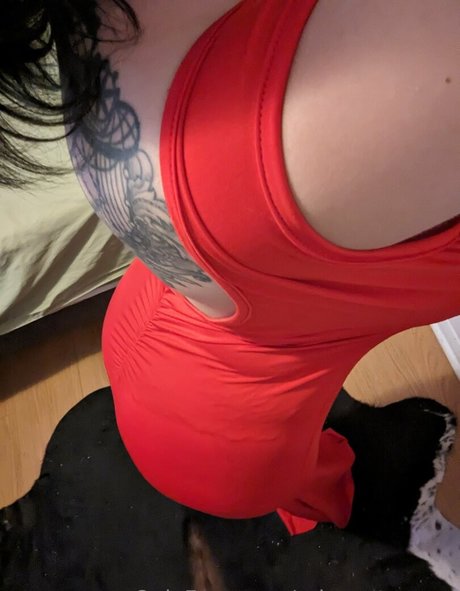 arianestamour best star photo