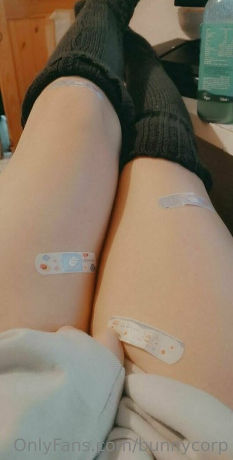 bunnycorp star high quality gallery