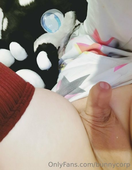 bunnycorp pornographic actress pictures