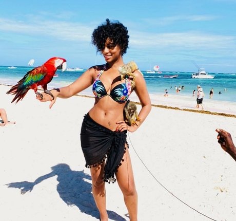 Taylor Rooks sexy star pic