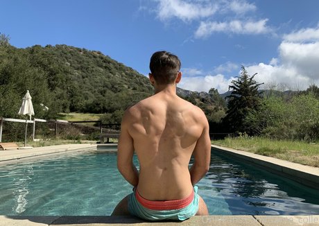 dante colle xxx actress images