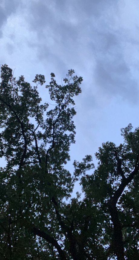 Nuuuuute pretty model picture