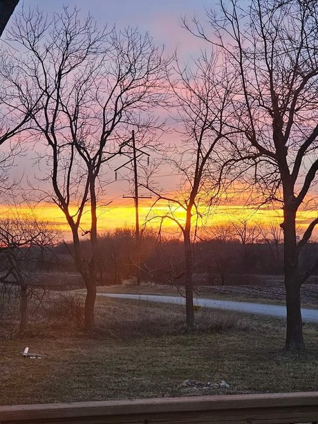 Nutty pornstar sex images