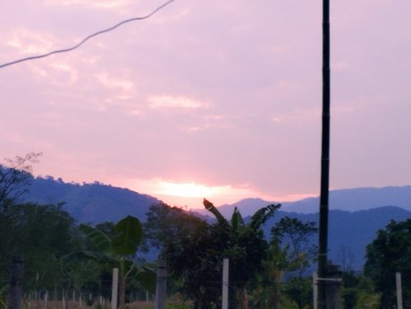 curvy muscle onlyfans porno photo