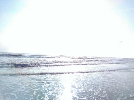 Nikkistevens 777 xxx actress img