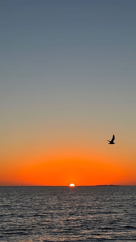 Pepe Angell pornstar naked pic