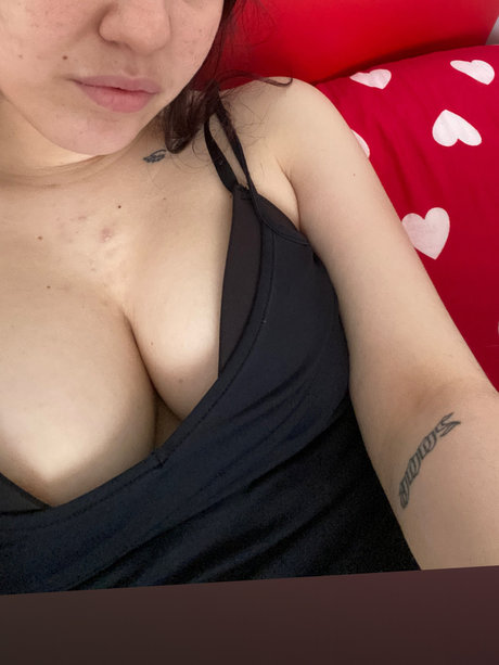 pauli_ hd model archive