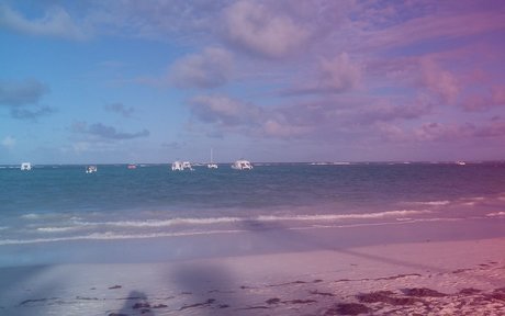 Pat Z star best pics