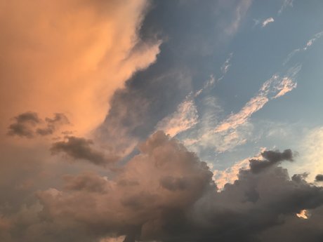 The Edge Master top actress archive