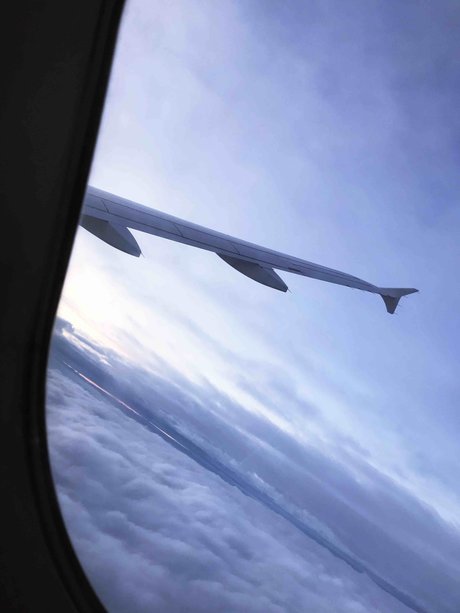 PapiRigo art model pics