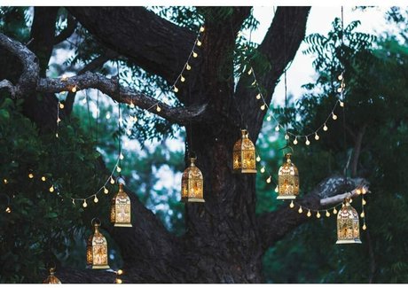 Tatted Feet perfect star galleries