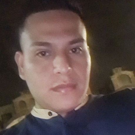 Ronald paladines star top photo