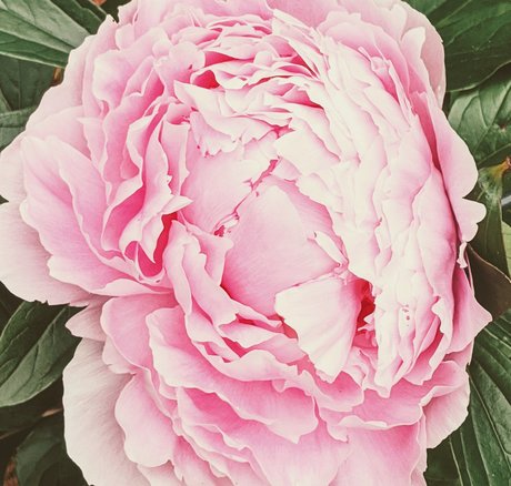 Owlseaeye sexy star galleries