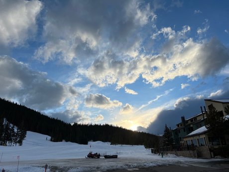 Oso de monta a star adult archive