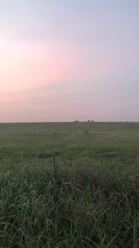 blonde tattoos onlyfans free sex photo