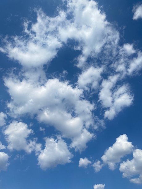 blonde secretary onlyfans erotic galleries