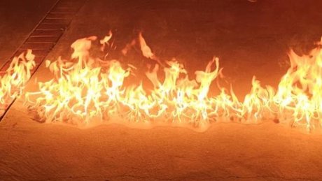 Dayle nude actress gallery