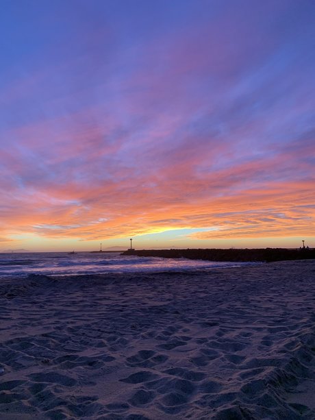 Damon best model pictures