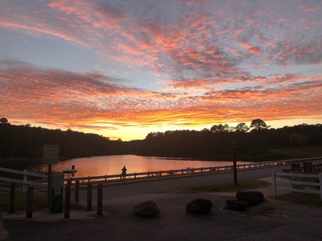 sneaky link_ best pornstar galleries