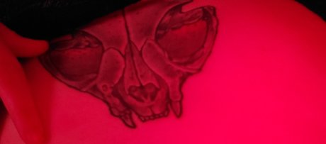 PlagueDaddy model pornographic image