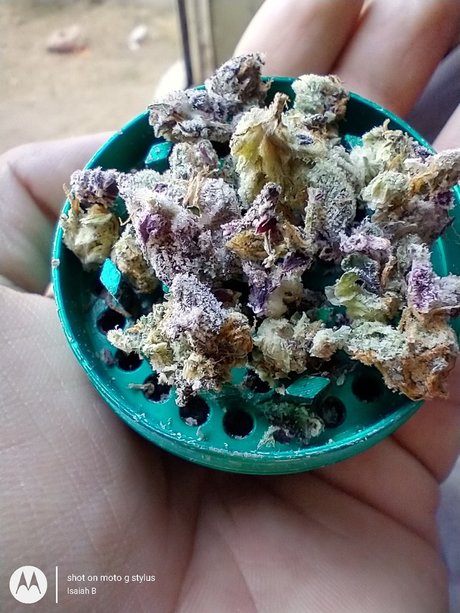 PimpinaintEz sex actress picture