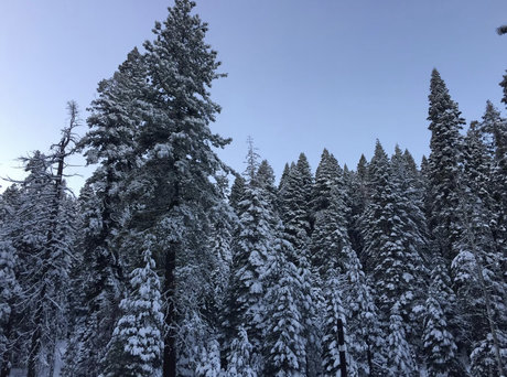 PigbottomIbanez nudes model pictures