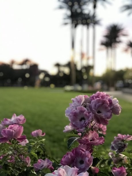 Philena Carter adult star picture