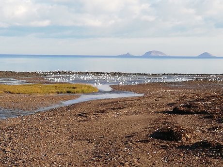 Racesex best pornstar pictures