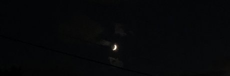 _d g_ star sex galleries