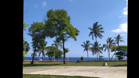 Puggi Mega Divo top star gallery