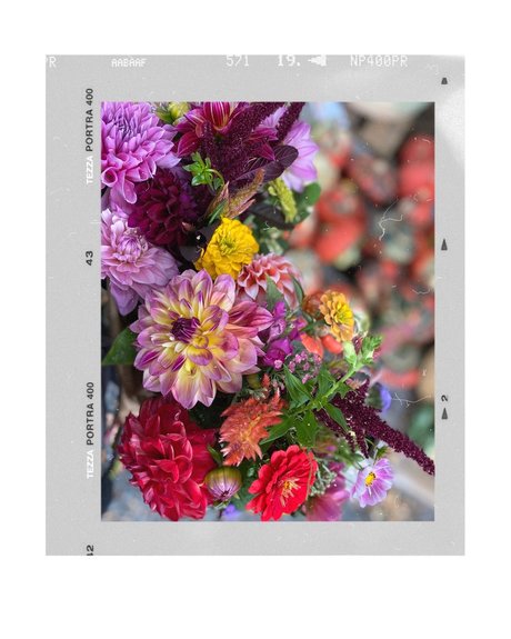 _Psychic Booty_ nudes star img