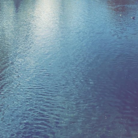 Greenie star gallery