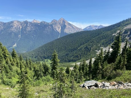 rhino___ model hot galleries