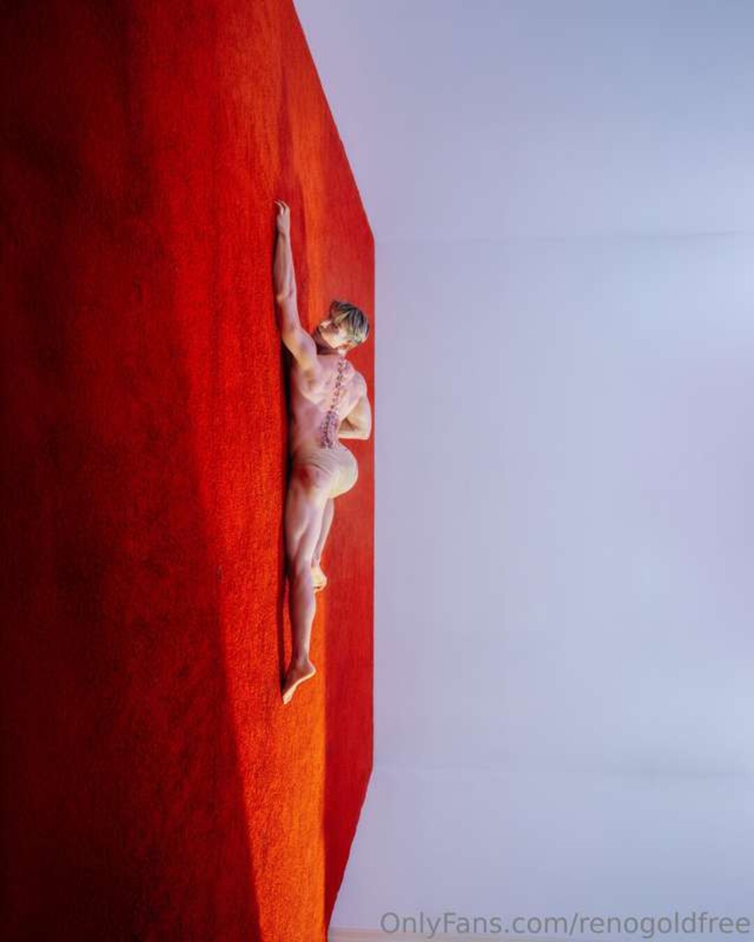 renogoldfree pornstar xxx galleries